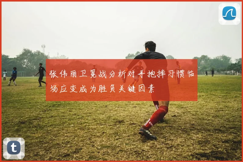 张伟丽卫冕战分析对手抱摔习惯临场应变成为胜负关键因素
